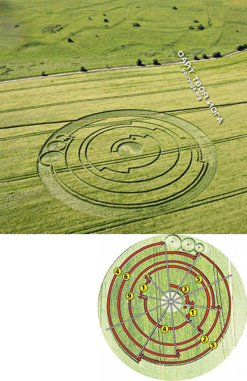 Расшифровка кругов на полях